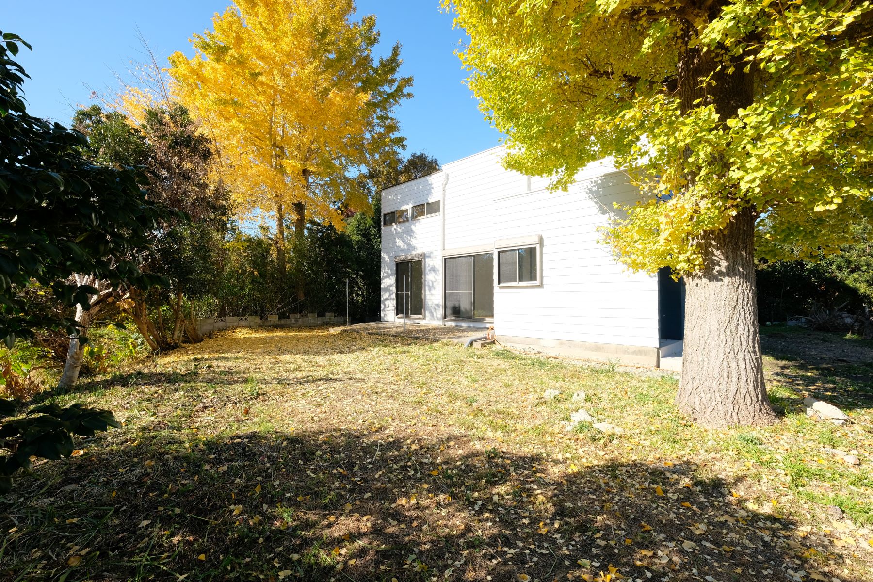 いすみ市　新田